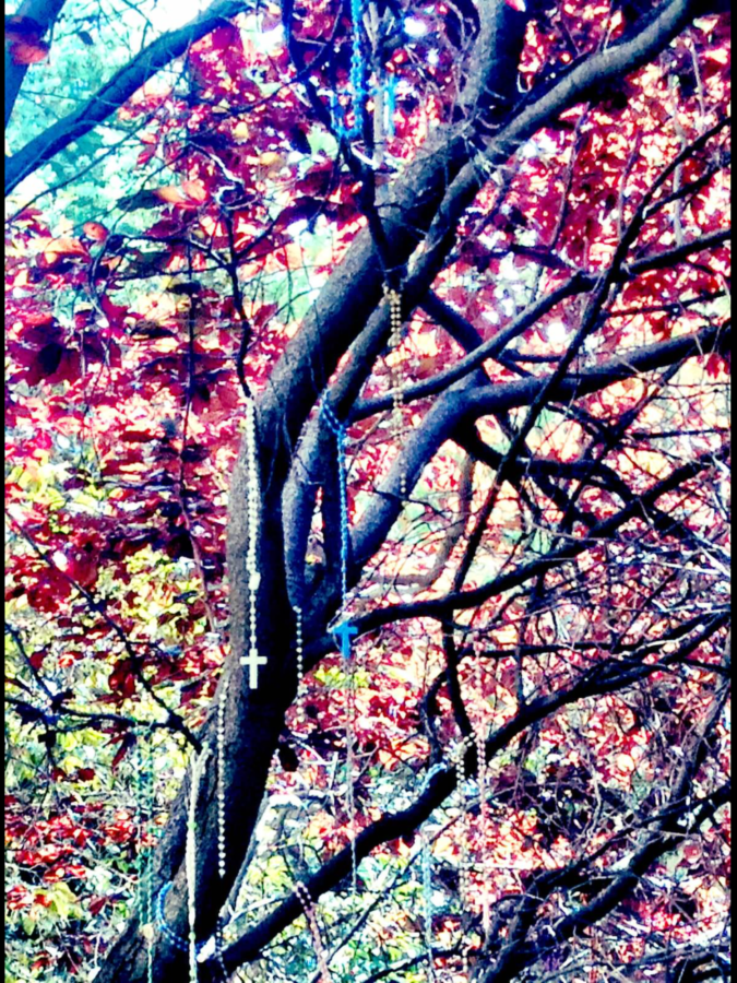 A Tree of Crosses