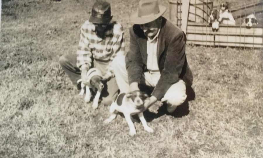 Bird Dog Litter