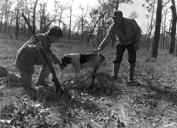 A Dog Retrieves a Bird