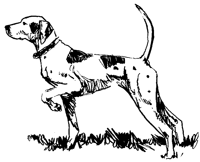 A Pointer