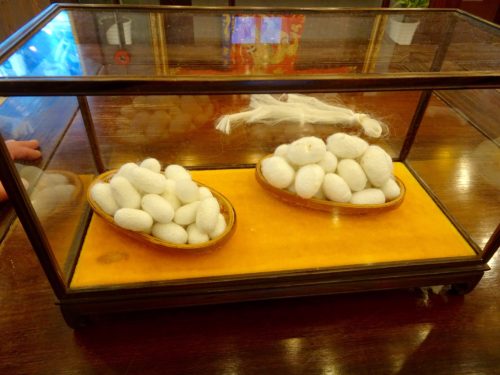 Silk cocoons