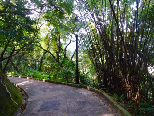 Path to Victoria Peak