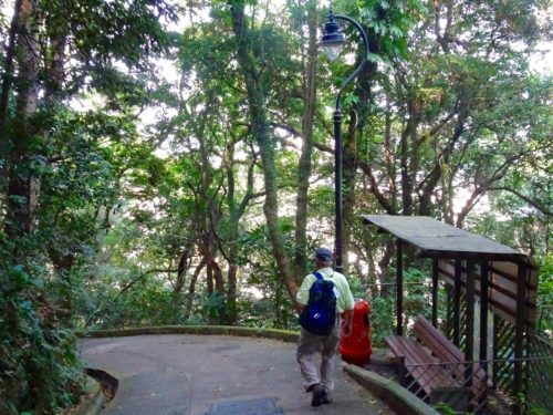 Path to Victoria Peak