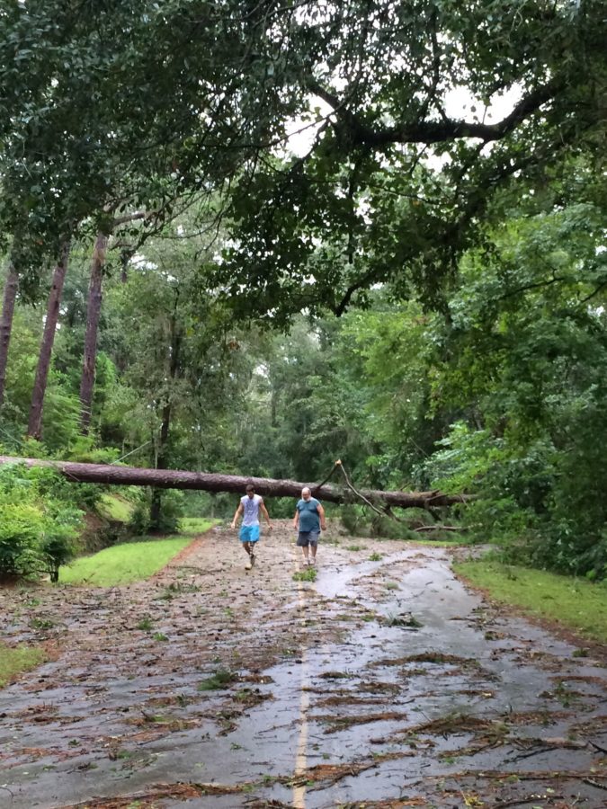 Hurricane Hermine Damages