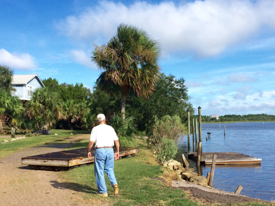 Hurricane Hermine Damages