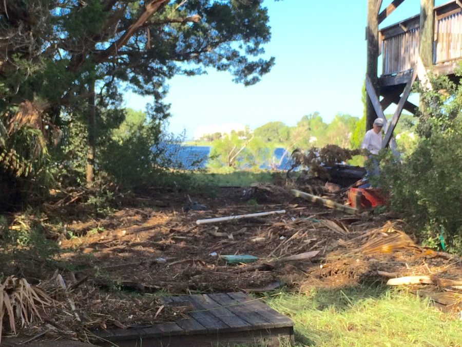 Hurricane Hermine Damages